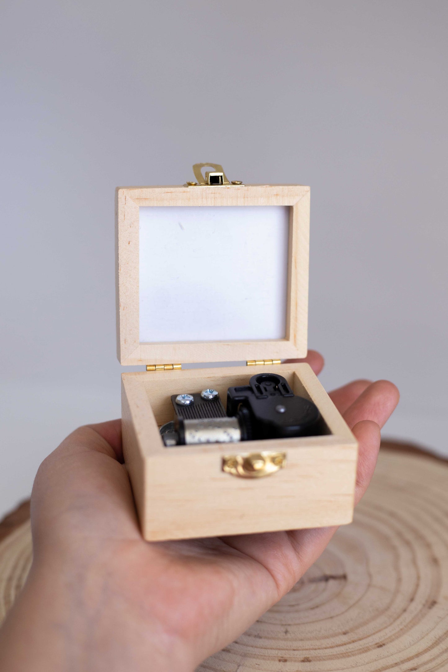 La La Land - Portaretrato Musical