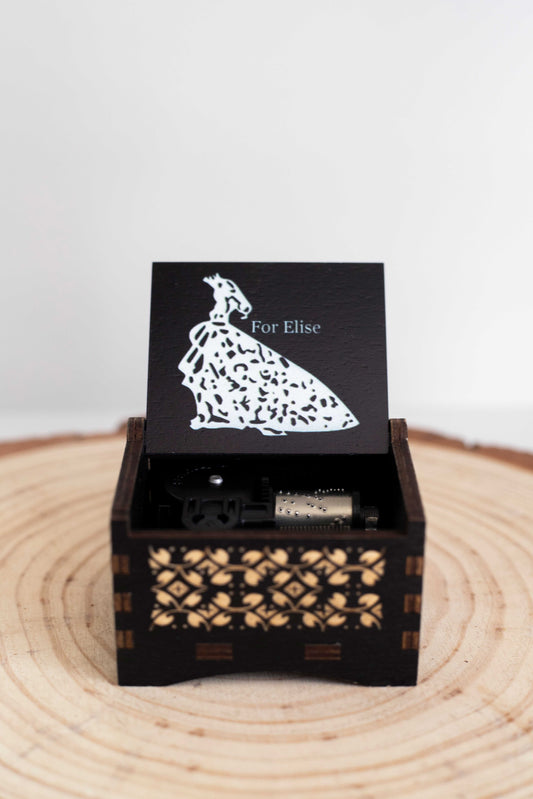 Para Elisa - Beethoven - Cajita Musical