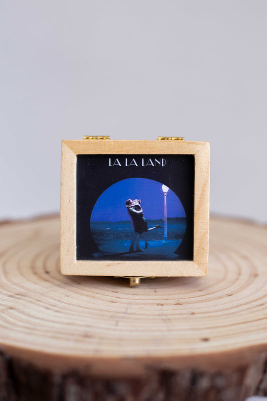 La La Land - Portaretrato Musical