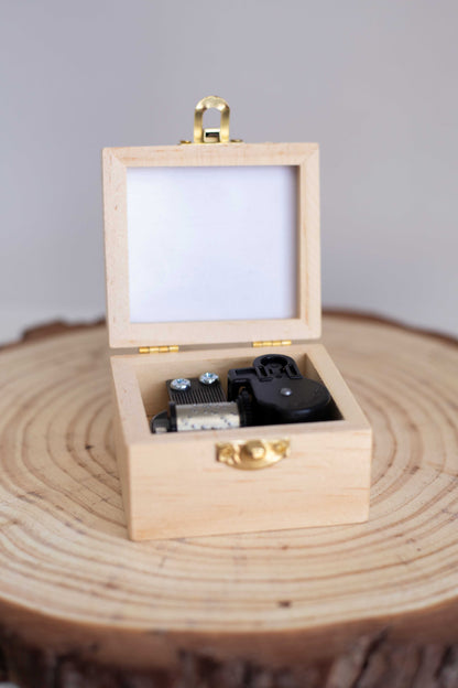 La La Land - Portaretrato Musical