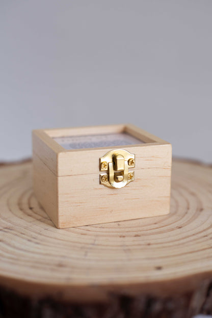 A Thousand Years - Cristina Perri