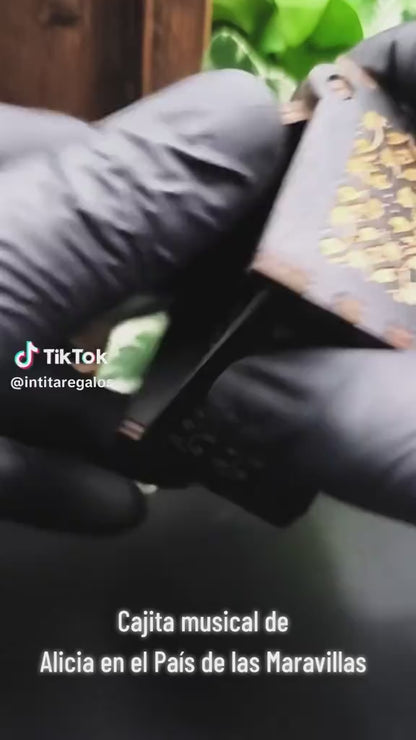 Alice in the Wonderland - Cajita Musical